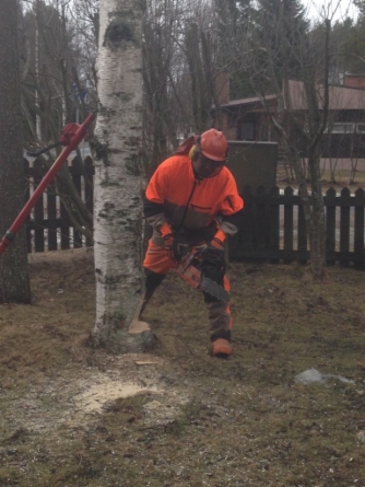 Madekosken Metsäpalvelu Oy